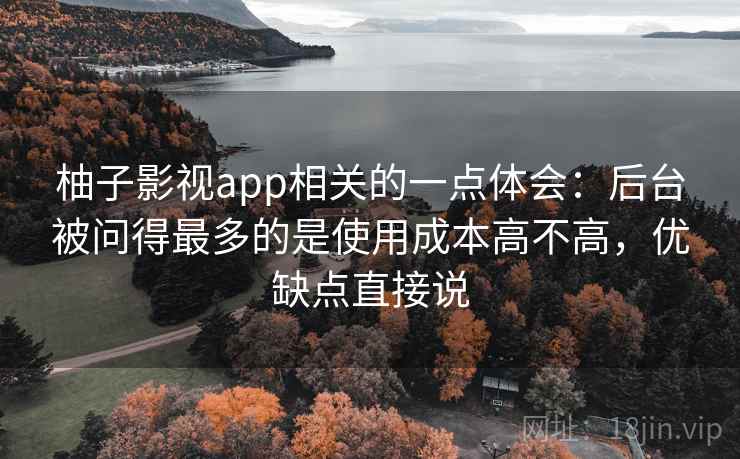 柚子影视app相关的一点体会：后台被问得最多的是使用成本高不高，优缺点直接说