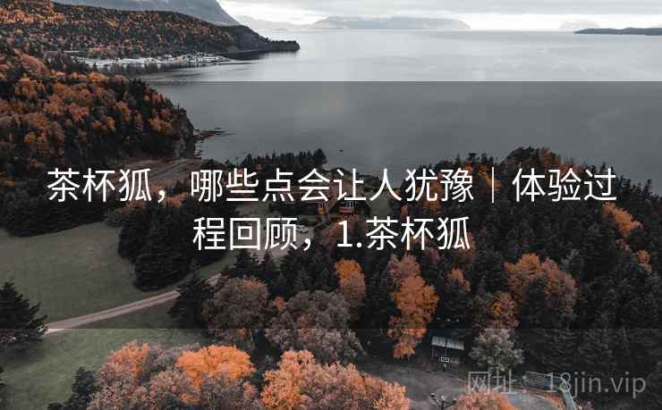 茶杯狐，哪些点会让人犹豫｜体验过程回顾，1.茶杯狐