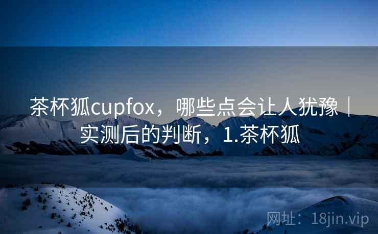 茶杯狐cupfox，哪些点会让人犹豫｜实测后的判断，1.茶杯狐