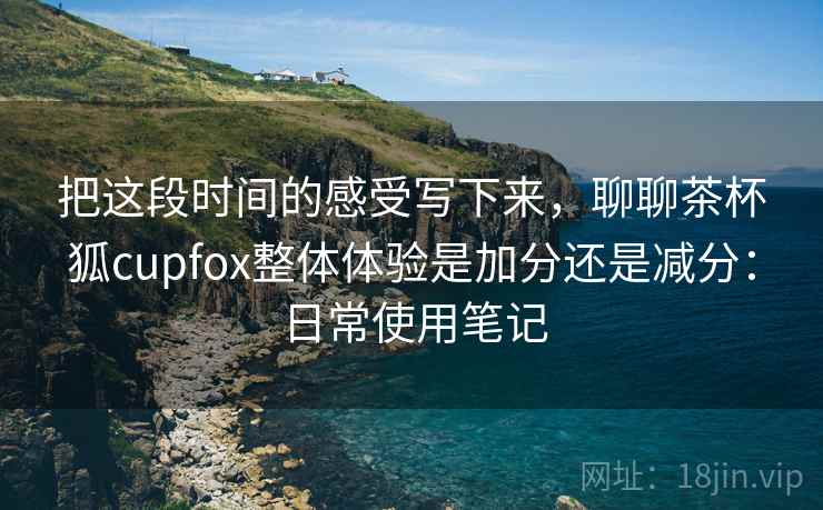 把这段时间的感受写下来，聊聊茶杯狐cupfox整体体验是加分还是减分：日常使用笔记
